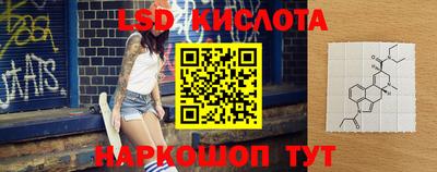 твердый Гусев