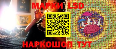 твердый Гусев