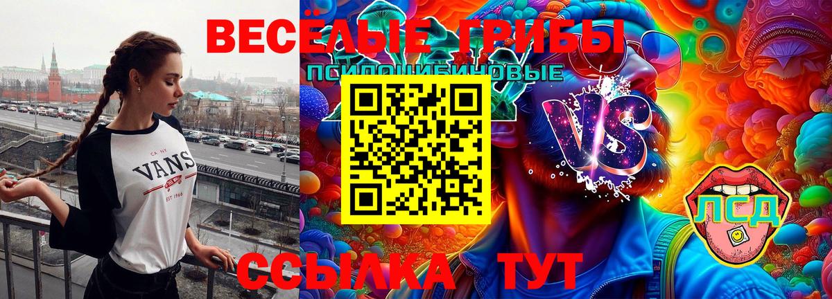 Псилоцибиновые грибы Cubensis Якутск