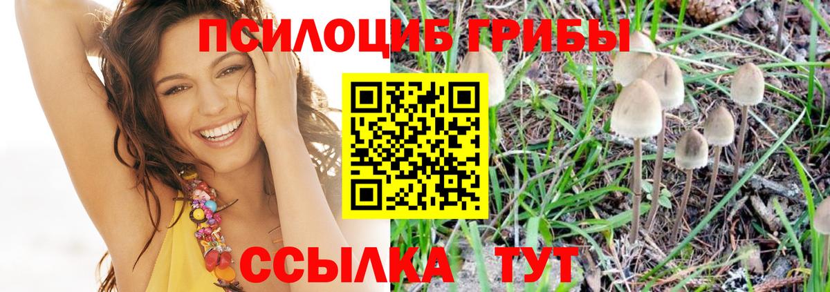 где купить   Псилоцибиновые грибы ЛСД  Якутск  Вход с VPN  Галлюциногенные грибы Cubensis 